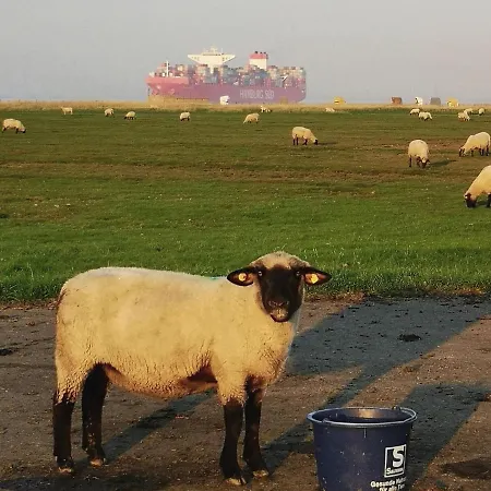 Comfort Steps From The North Sea Apartment Cuxhaven