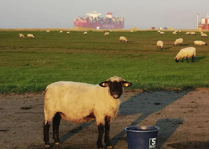 Comfort Steps From The North Sea Apartament Cuxhaven