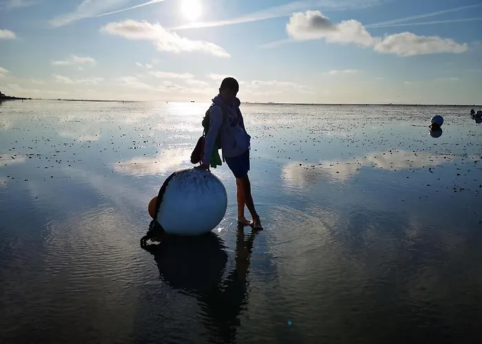 Apartament Comfort Steps From The North Sea *